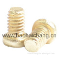 Nonstandard Self Drilling Screw(ISO 9001:2008 & ISO/TS16949:2009)